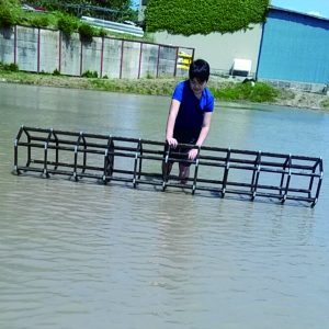 田植えの前の「ワクころがし」